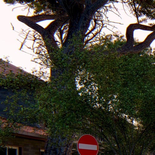 Carro fatto con biciclette a Fregene